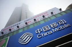 使用手册!绥化服务热线电话号码_哔哩哔哩